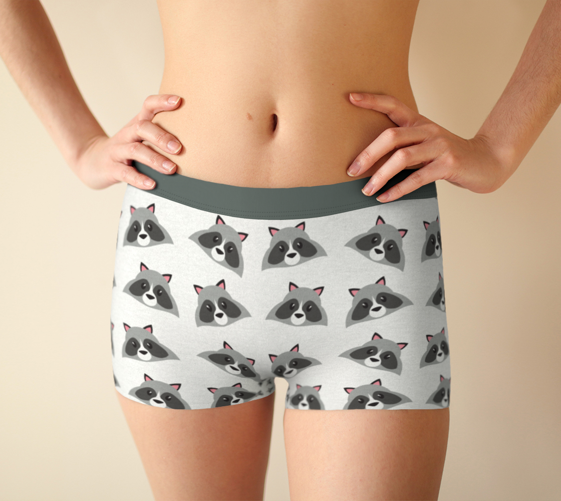 Boy Shorts Underwear Panties for Women Raccoons Boxer Briefs