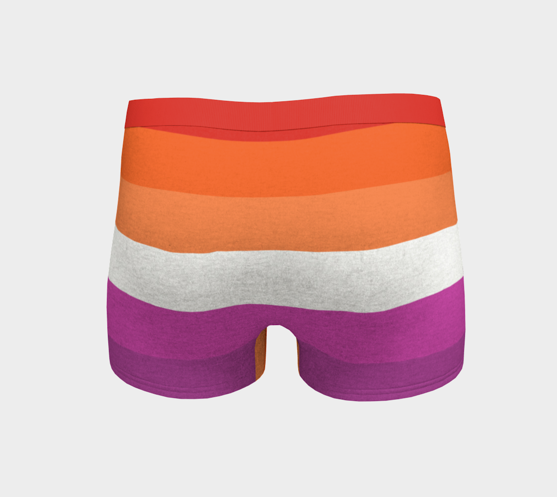 Boy Shorts Underwear Panties for Women Rainbow Diagonal Pattern