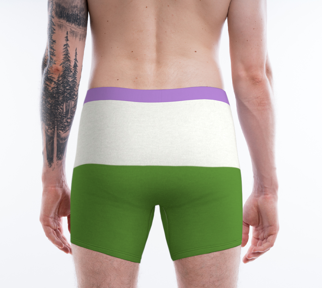 Boxer Briefs Underwear For Men Comfortable Gender Queer Flag Colors