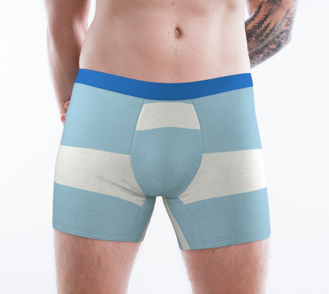 Boxer Briefs Underwear For Men Comfortable Light Blue Stripes