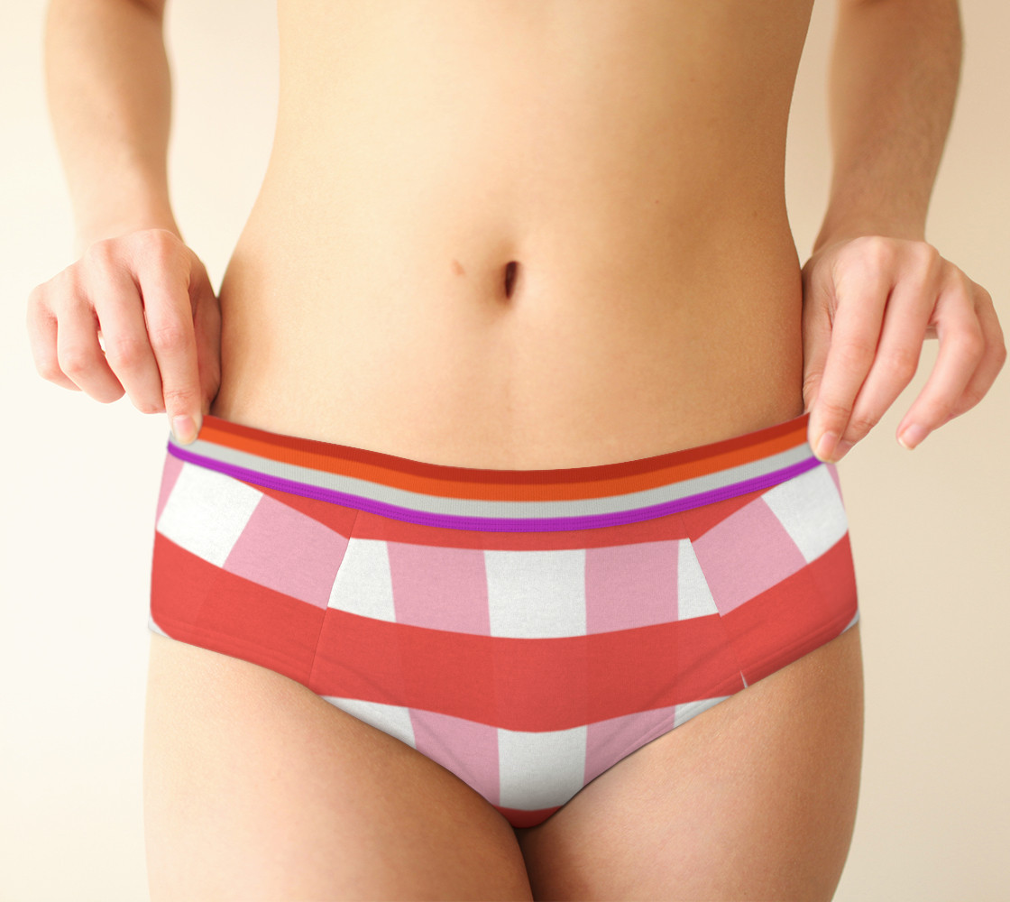 Cheeky Briefs Panties Underwear Comfortable Plaid Lesbian Flag Colors