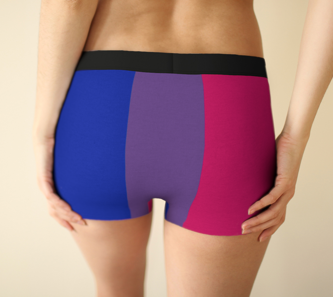 Boy Shorts Underwear Panties for Women Bisexual Flag Colors Boxer Briefs