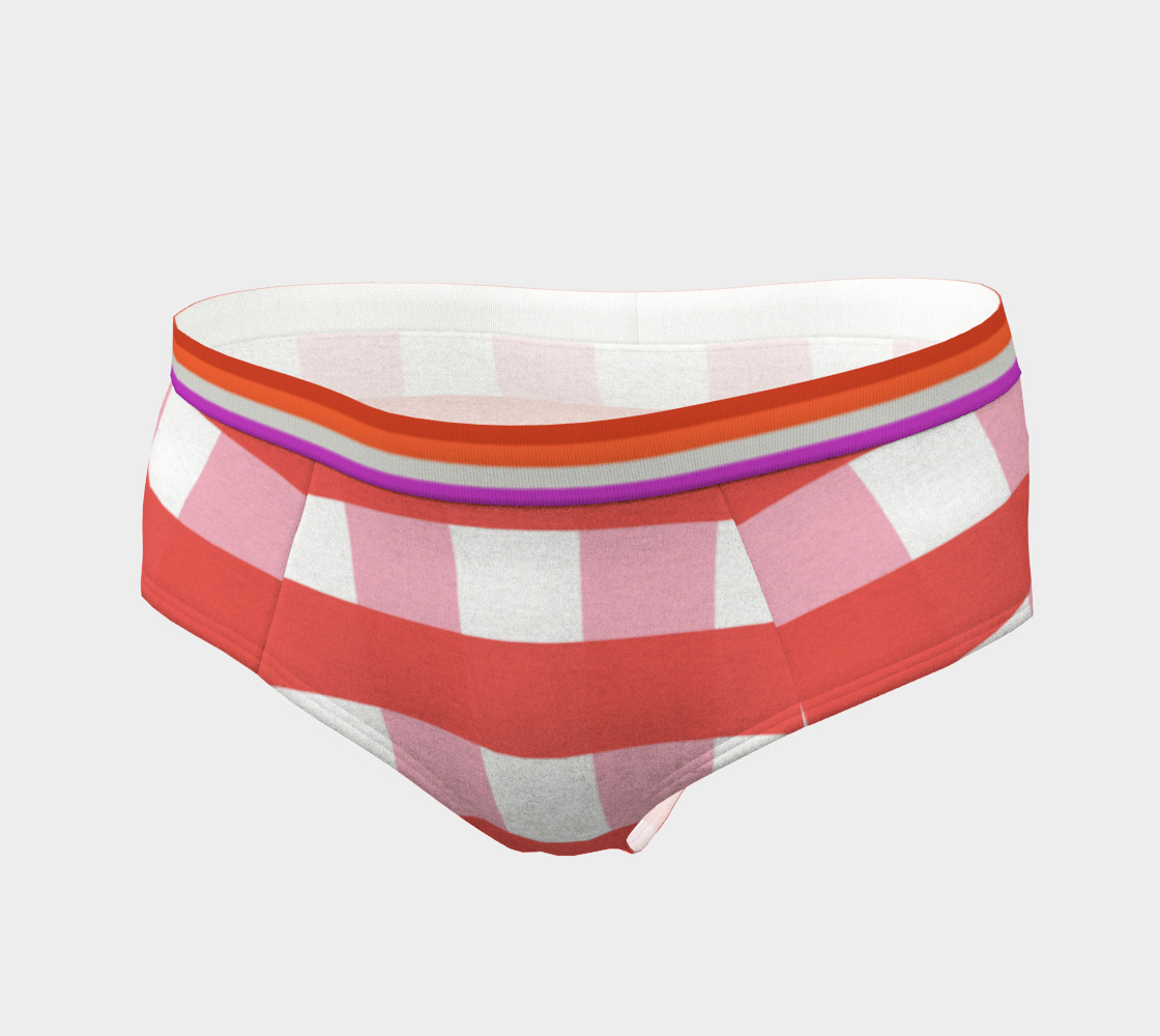 Cheeky Briefs Panties Underwear Comfortable Plaid Lesbian Flag Colors –  SunrayStoreCreations