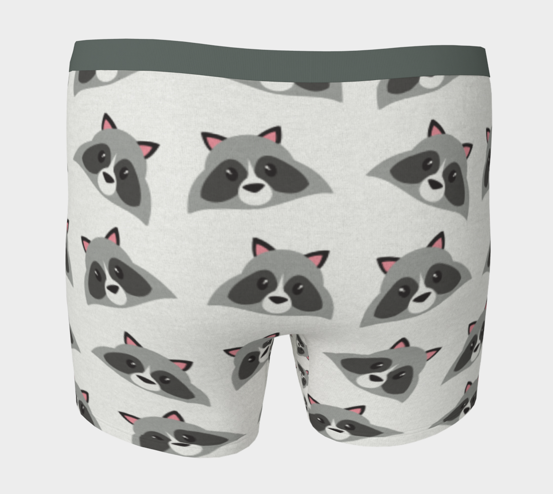 Boxer Briefs Underwear For Men Comfortable Raccoons
