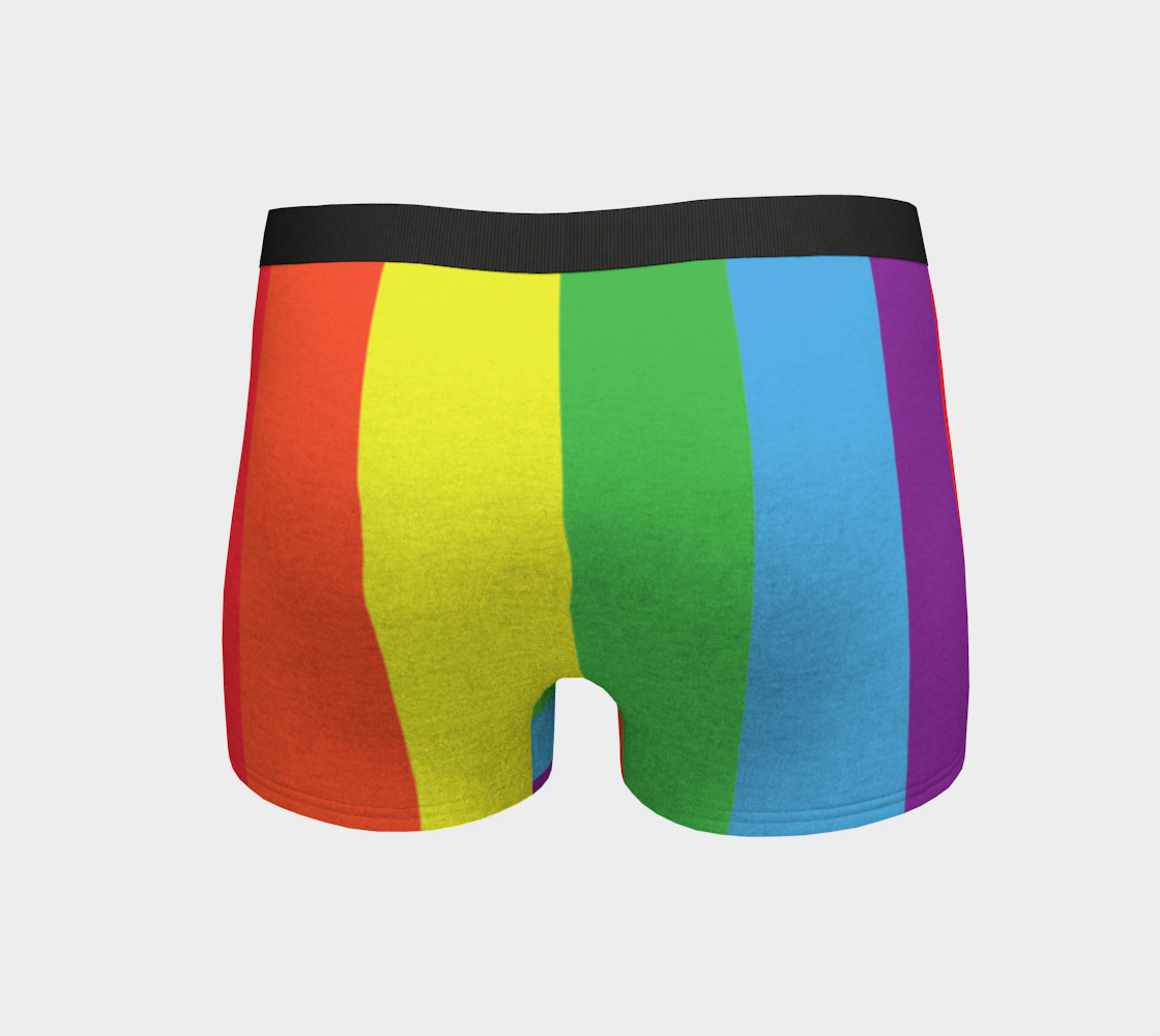 Boy Shorts Underwear Panties for Women Rainbow Flag Colors