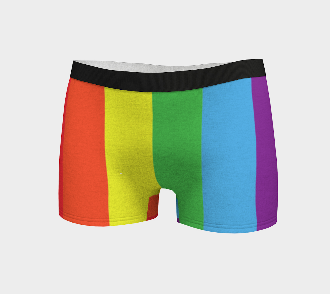 Boy Shorts Underwear Panties for Women Rainbow Flag Colors