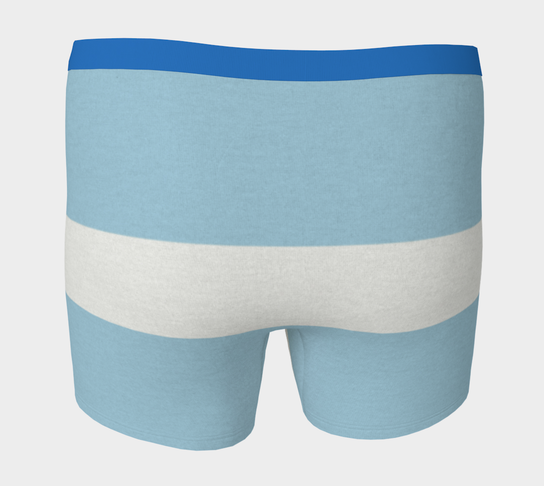 Boxer Briefs Underwear For Men Comfortable Light Blue Stripes