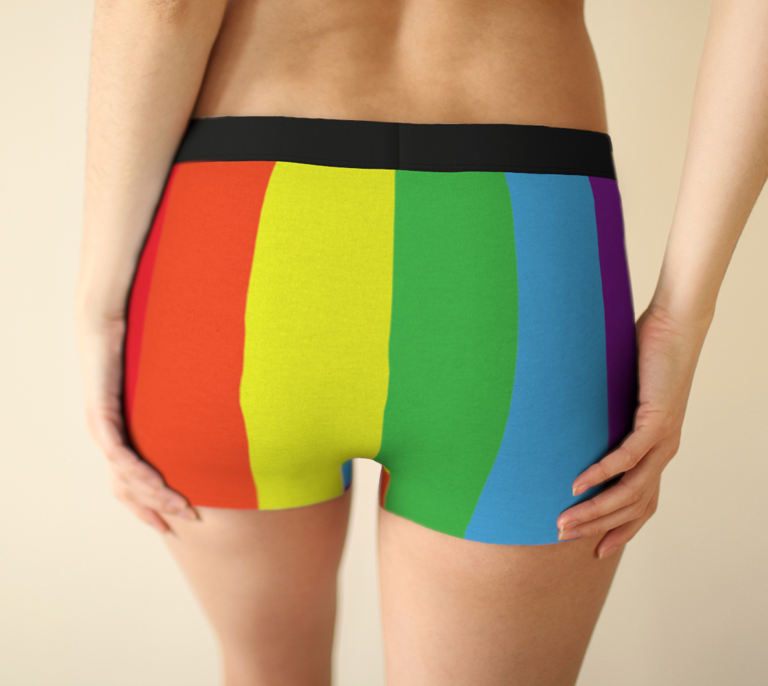 Boy Shorts Underwear Panties for Women Rainbow Flag Colors